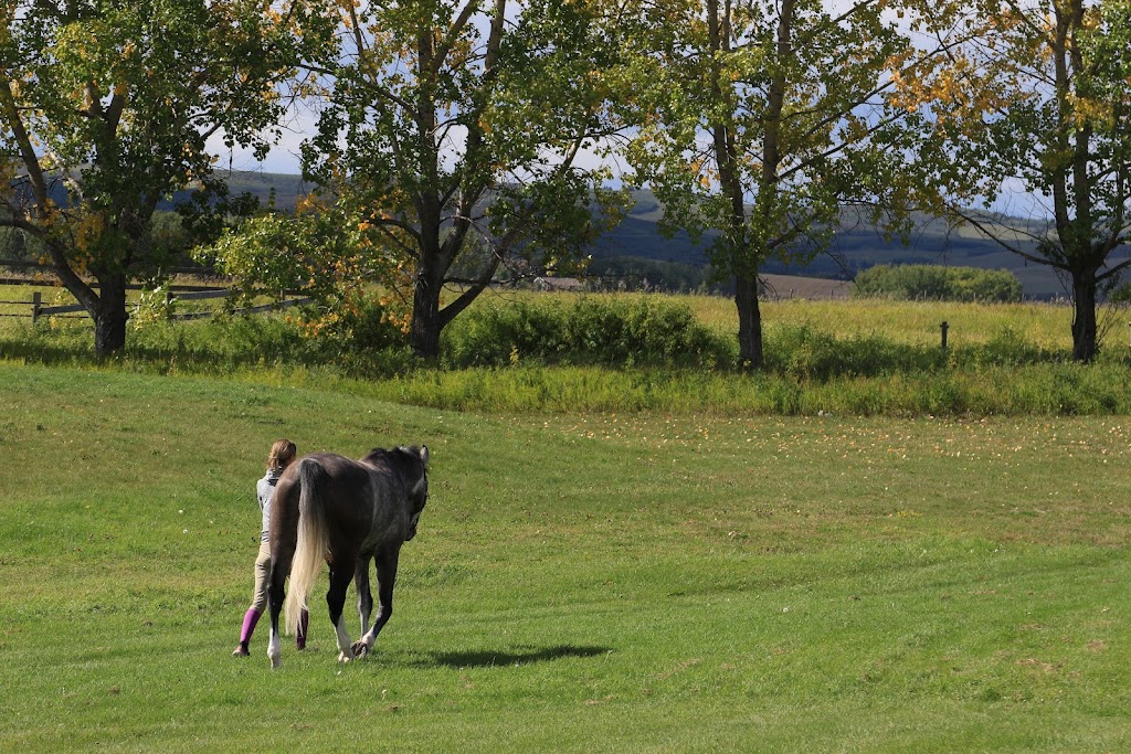 Rocky Mountain Show Jumping | 1405 226 Ave W, De Winton, AB T0L 0X0, Canada | Phone: (403) 256-8652