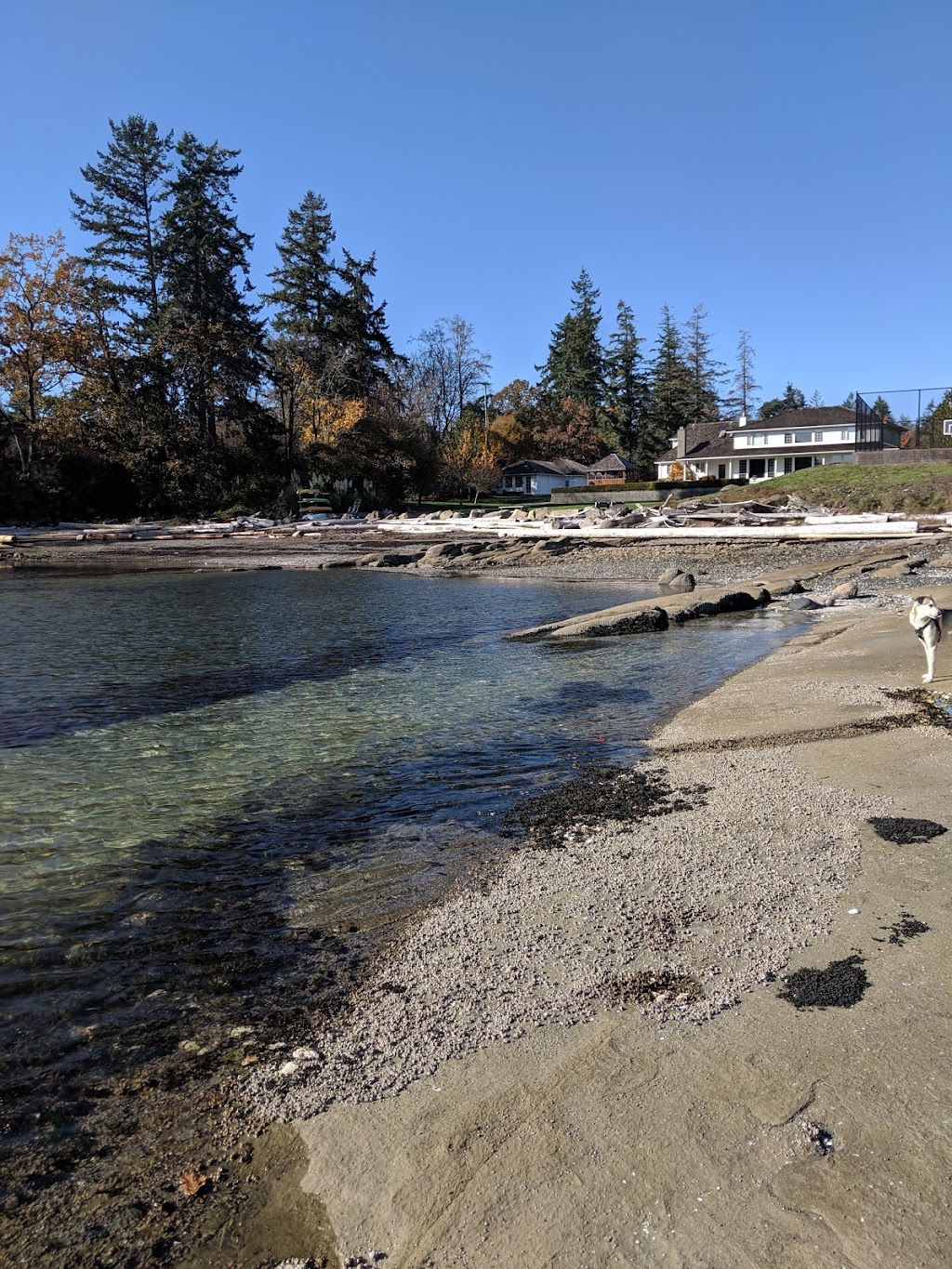 Canadian Pacific Algae | 3145 Headland Rd, Nanaimo, BC V9X 1N8, Canada | Phone: (250) 722-0219