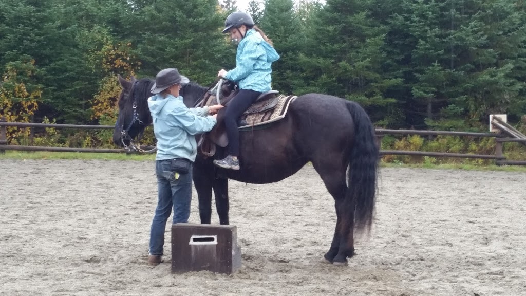 Centre Equestre Le Vent Du Sud | 254 Rang des Grenier, Piopolis, QC G0Y 1H0, Canada | Phone: (819) 583-0202