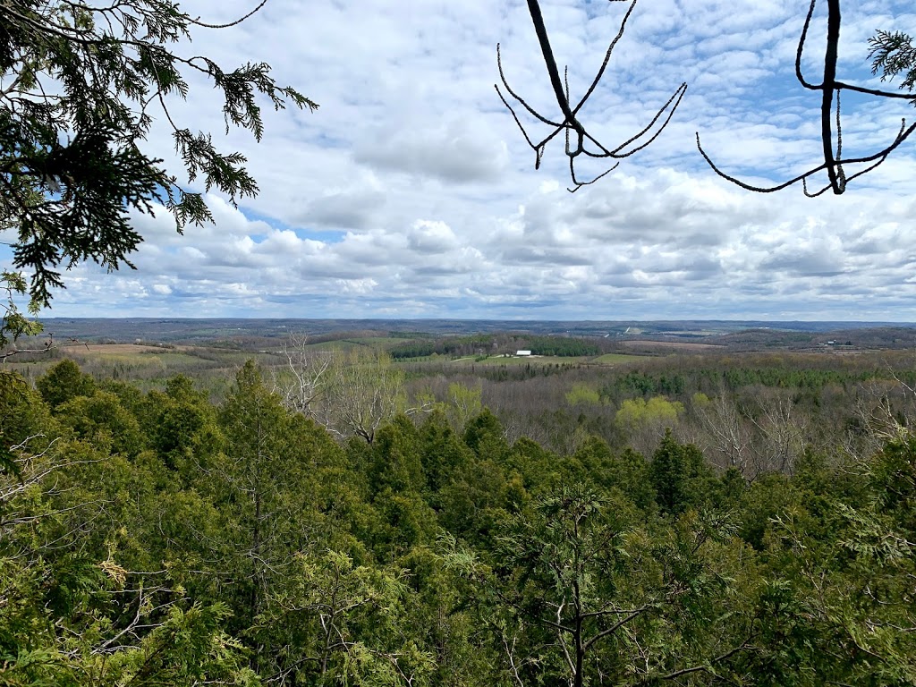 Bognor Marsh Management Area | 104277 Grey County Rd 18, Bognor, ON N0H 1E0, Canada | Phone: (519) 376-3076