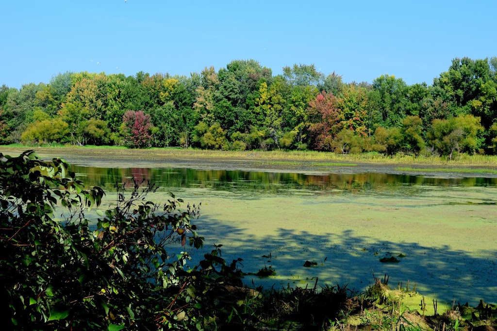 Parc écologique Godefroy | 17105 Boul Bécancour, Bécancour, QC G9H 1A3, Canada