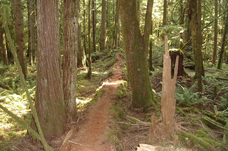 Hidden Grove | 7000 Sechelt Inlet Rd, Sechelt, BC V0N 3A4, Canada | Phone: (604) 885-3797