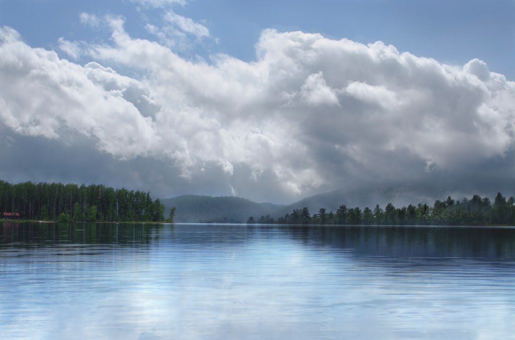 Forest bathing | 1 route Forestière 25 (km 50, La Tuque, QC G9X 3P2, Canada | Phone: (514) 434-4237