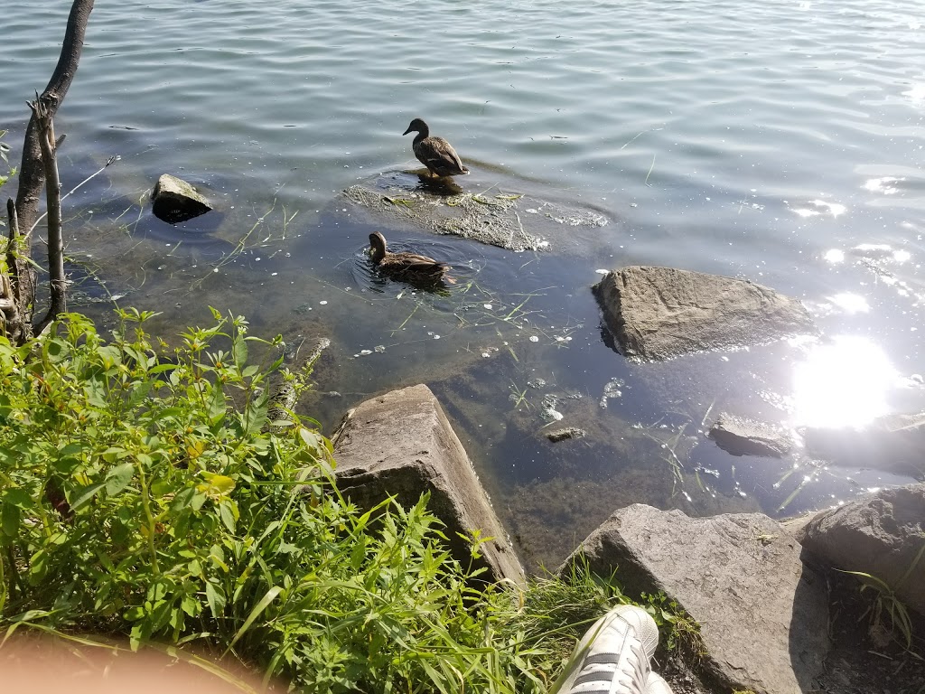 Couvée Islands Bird Sanctuary | Saint-Lambert, QC J4S, Canada