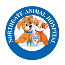 Northgate Animal Hospital | 2438 9th Ave N, Regina, SK S4R 7W3, Canada | Phone: (306) 543-7500