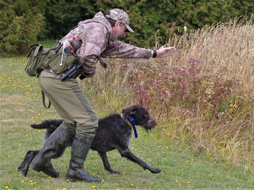 CynoTech Centre de Conditionnement Canin | 13 Rte de lÉglise N, Saint-Modeste, QC G0L 3W0, Canada | Phone: (581) 337-3361