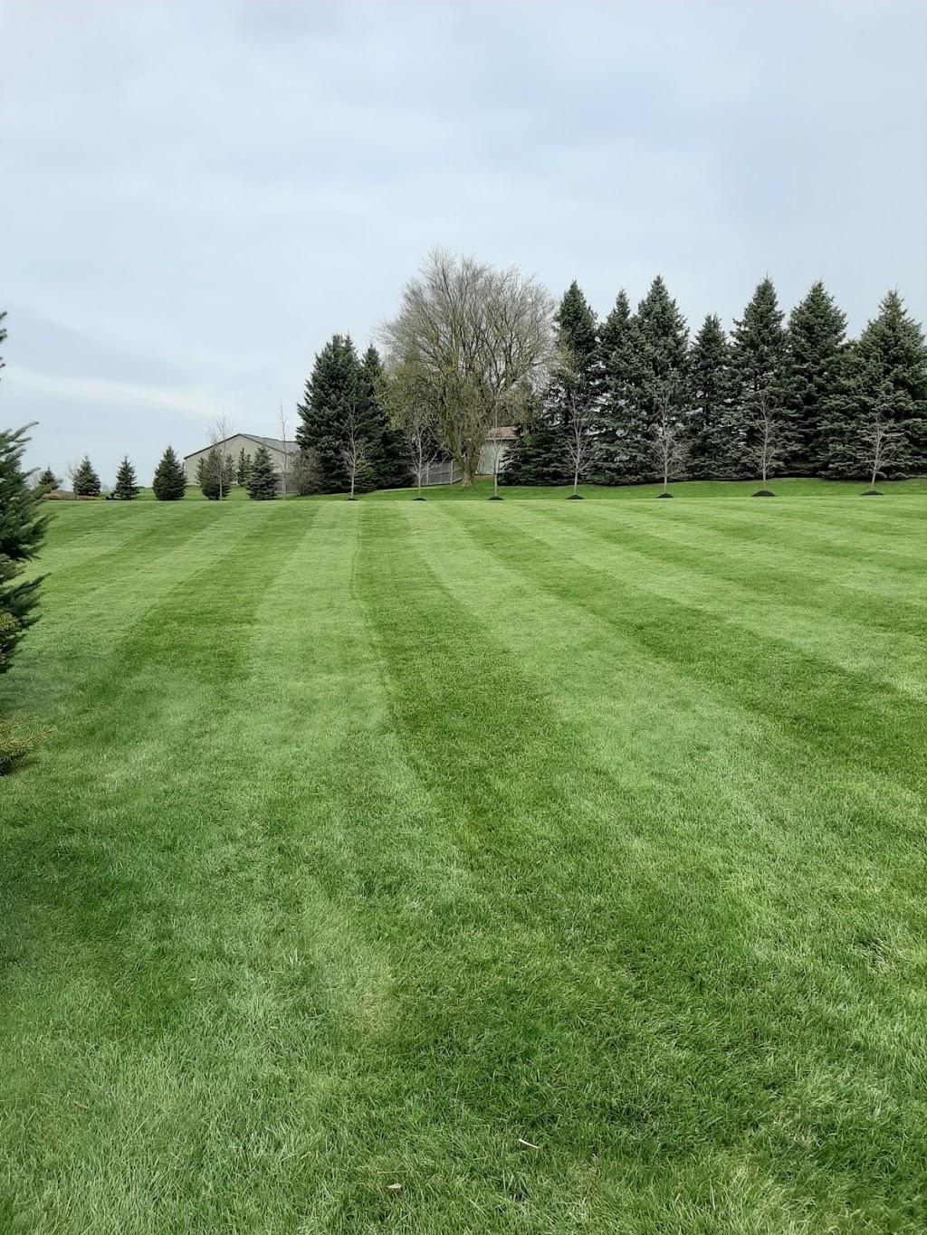 Star Lawn Svc | 32 Bretz Ave, Cambridge, ON N3C 2W9, Canada | Phone: (519) 658-7189