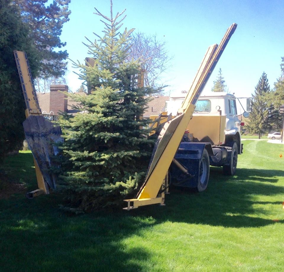 CM Wilson Tree Moving Service | 22222 Creek Rd, Chatham, ON N7M 5J3, Canada | Phone: (519) 354-2734