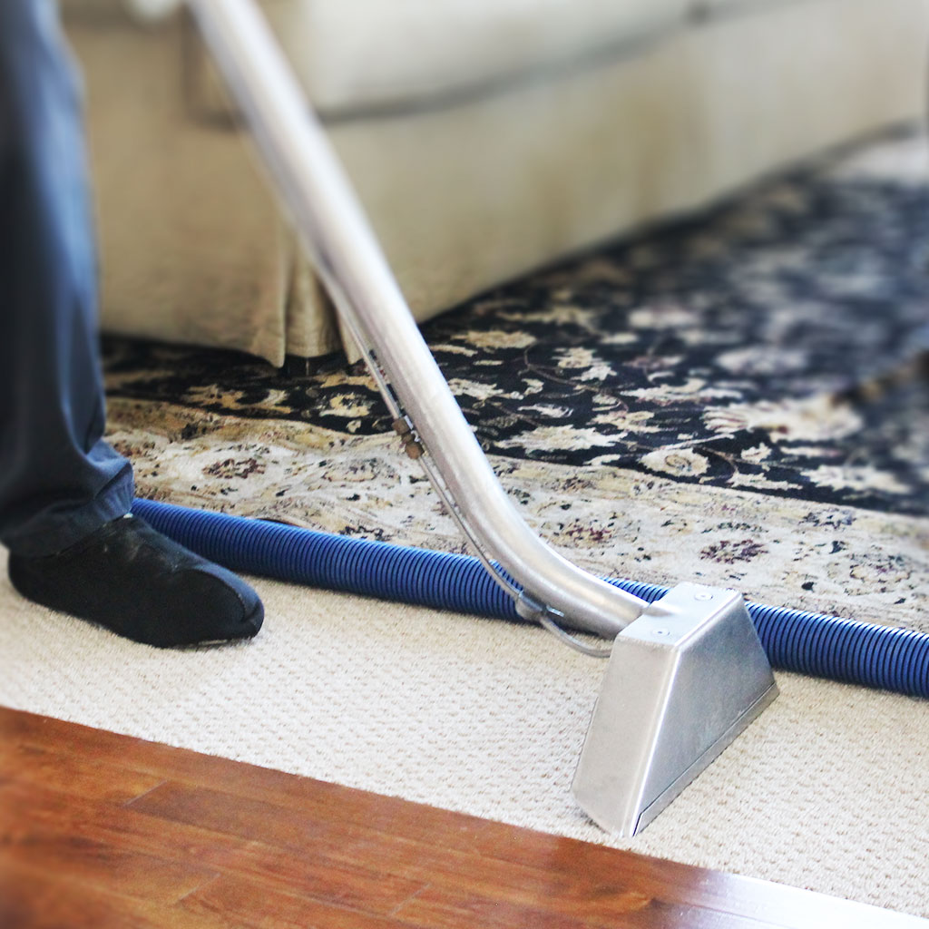 Alberta Carpet Cleaning | 3341 44 Ave SE, Calgary, AB T2B 3K6, Canada | Phone: (403) 235-6111