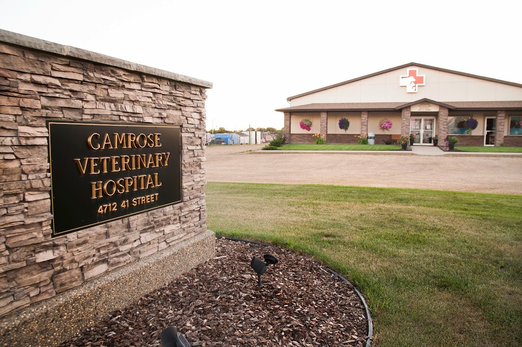 Camrose Veterinary Hospital | 4712 41 St, Camrose, AB T4V 0Z6, Canada | Phone: (780) 672-3171