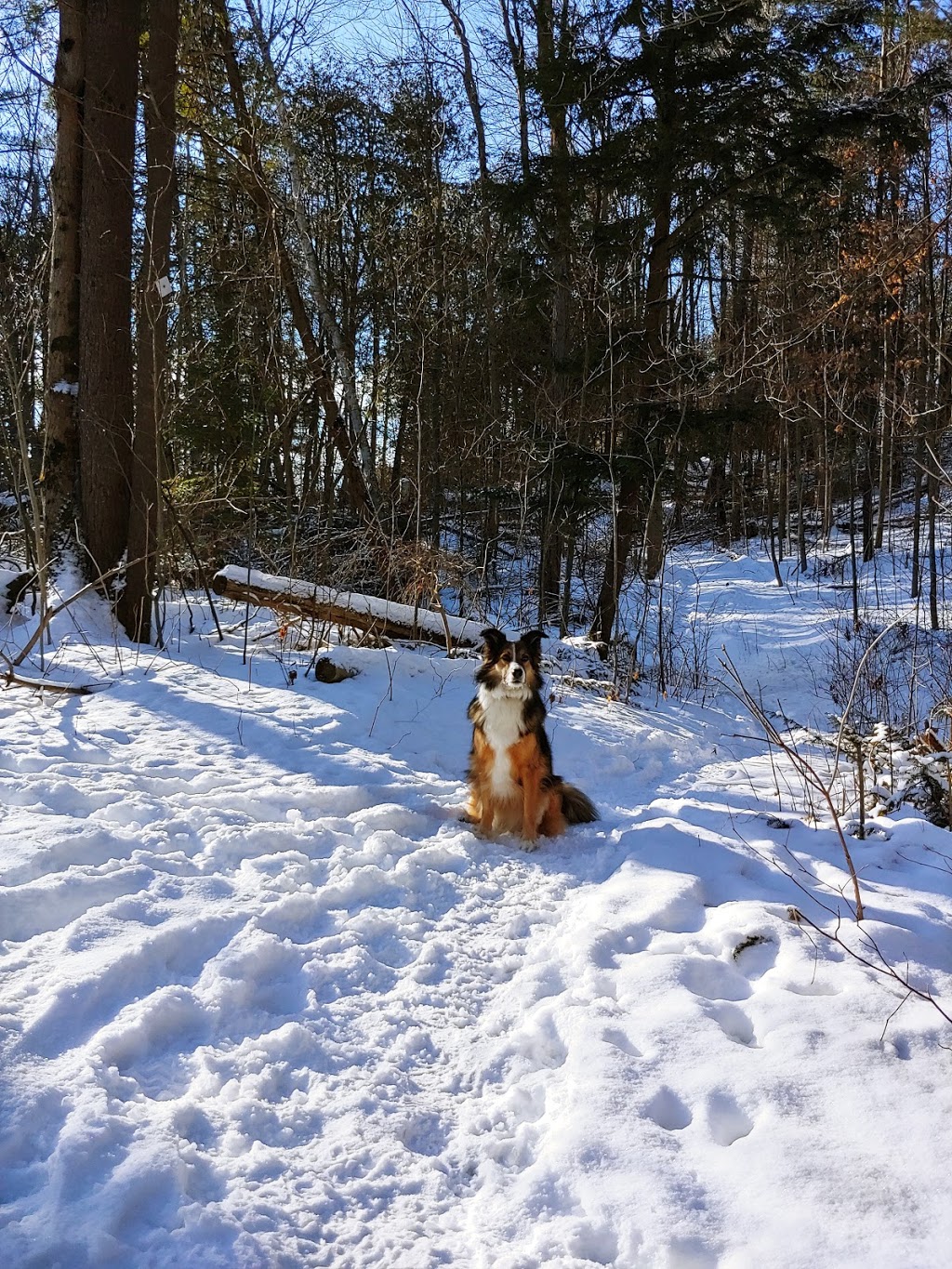 Logbench Ridge | Kawartha Lakes, ON K0L 2W0, Canada