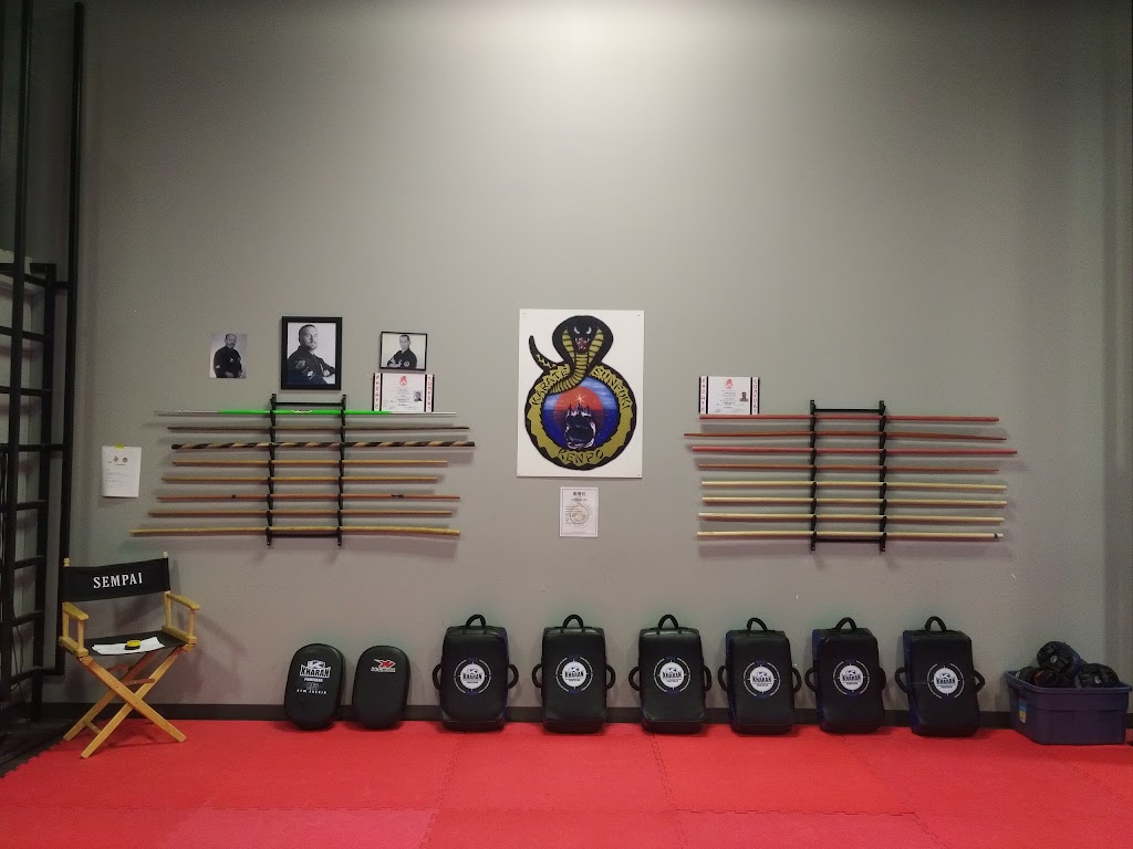 Karate Center Sunfuki Repentigny | 80 Boulevard Brien suite 400A, Repentigny, QC J6A 5K7, Canada | Phone: (450) 932-6232