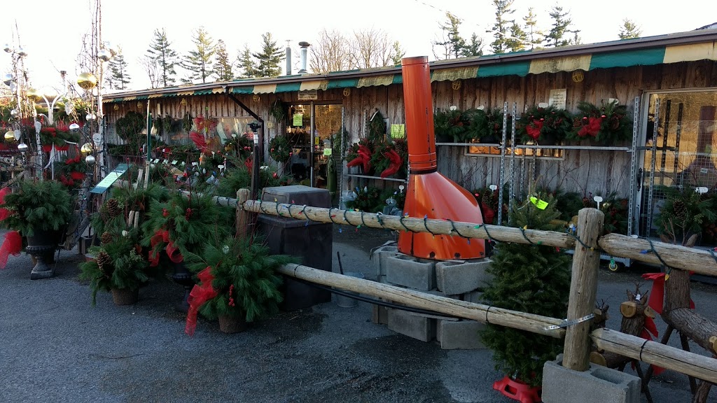 Rileys Garden Center | 2141 Bath Rd, Kingston, ON K7M 4Y3, Canada | Phone: (613) 389-0630