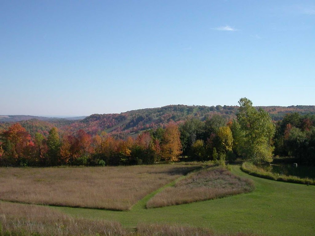 Avalon Clearview Studio B&B | 1651 Simcoe County Rd 124, Duntroon, ON L0M 1H0, Canada | Phone: (705) 444-8541