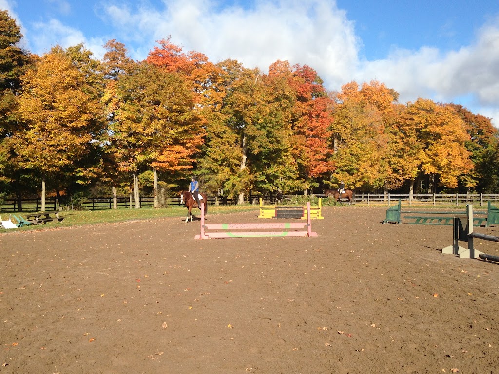 Churchill Chimes Equestrian Centre | 246 Webb Rd, Whitchurch-Stouffville, ON L4A 7X4, Canada | Phone: (905) 642-6271