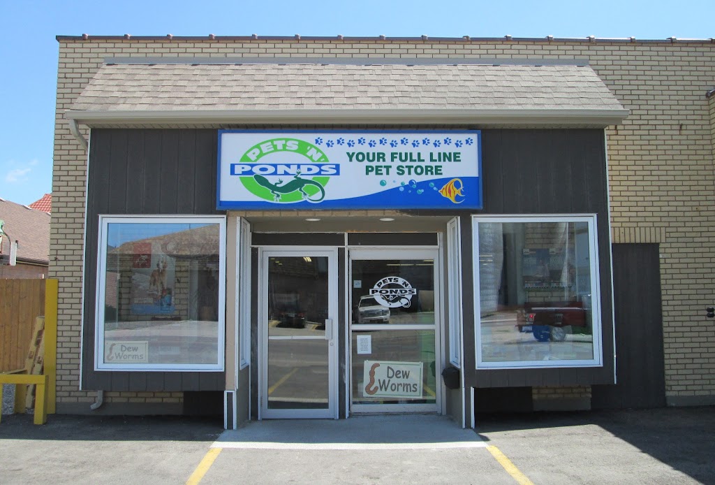 Pets N Ponds | 11 Frank St, Strathroy, ON N7G 2R2, Canada | Phone: (519) 245-0721