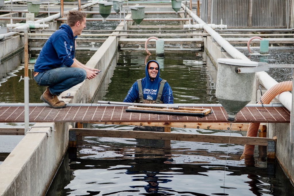 Cedar Crest Trout Farms | 133241 Allan Park Rd, Hanover, ON N4N 3B8, Canada | Phone: (519) 364-7803