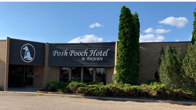 Posh Pooch Hotel and Daycare | 9402 31 Ave NW, Edmonton, AB T6N 1C4, Canada | Phone: (780) 435-3115