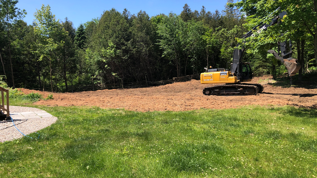 Pollock Land Clearing | 247 Blue Heron Rd, Carleton Place, ON K7C 0C5, Canada | Phone: (613) 206-1212