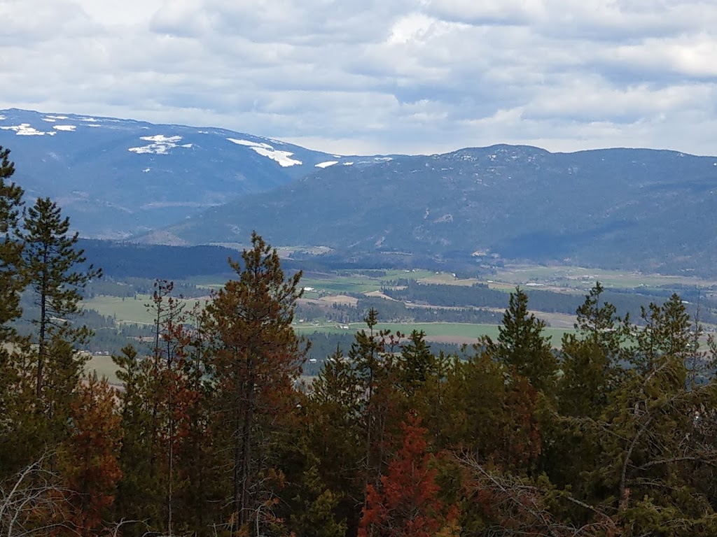 Rose Swanson Hiking Trails | Chamberlaine Rd, Armstrong, BC V0E 1B4, Canada