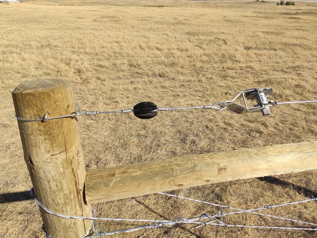 InTime Fencing | 16 Earl Close, Red Deer, AB T4P 3G6, Canada | Phone: (306) 307-0277