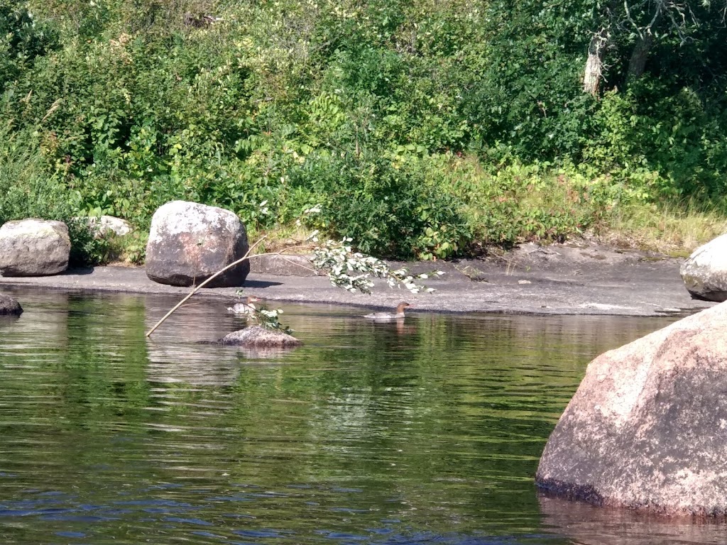 Rainbow Falls | White Lake, MB R0E 1R0, Canada | Phone: (204) 369-3157