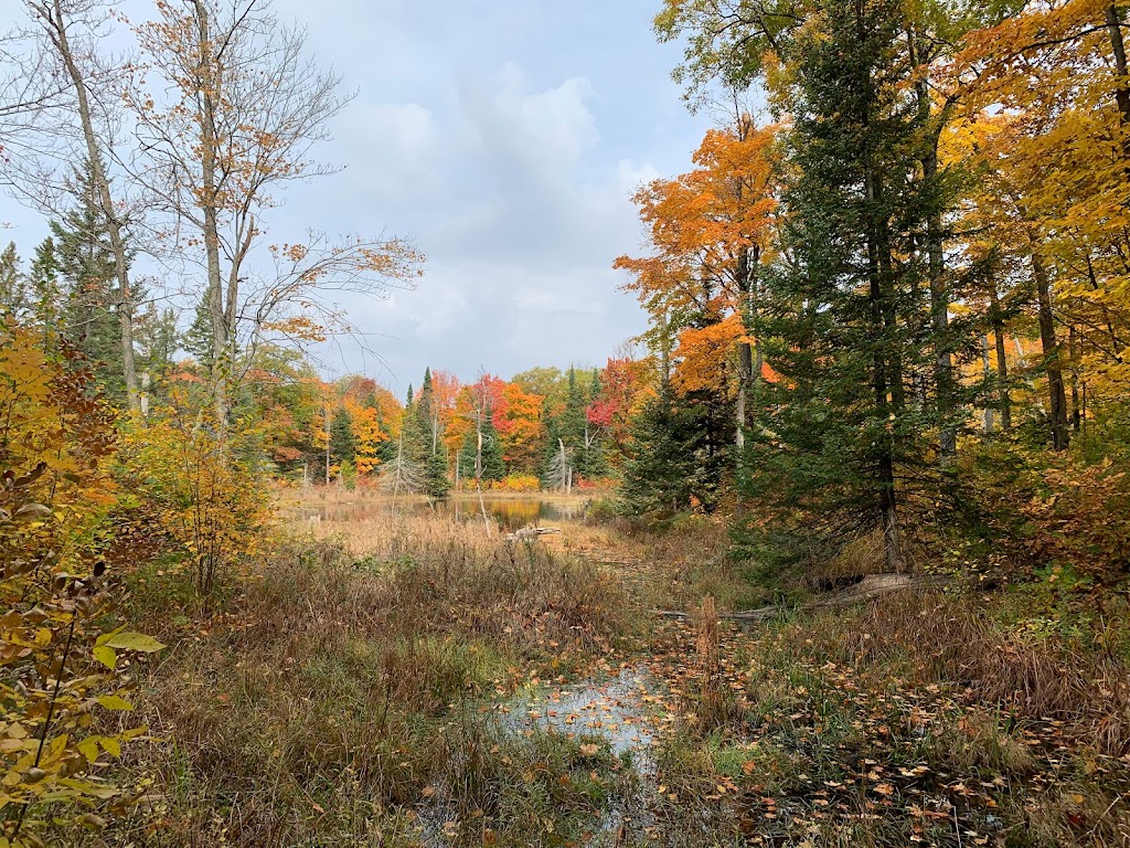 Horticulture Latrémouille | 1892 Chem. de la Montagne, Luskville, QC J0X 2G0, Canada | Phone: (819) 455-9171