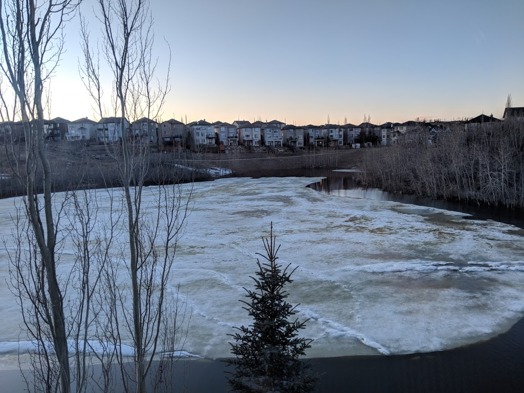 Mitra Natural Ravine Park | 194 Royal Birkdale Crescent NW, Calgary, AB T3G 5R8, Canada