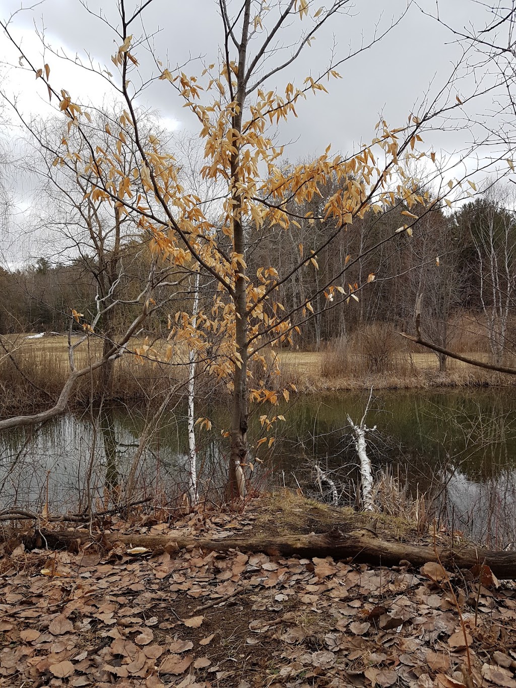 Parc écologique de lAssomption | 1191 Boulevard de lAnge Gardien N, LAssomption, QC J5W 4P8, Canada | Phone: (450) 589-5671