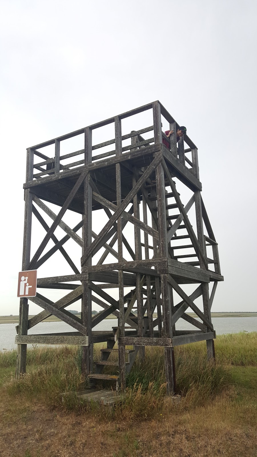 Observation Tower | Unnamed Road, Simpson, SK S0G 4M0, Canada | Phone: (306) 836-2022