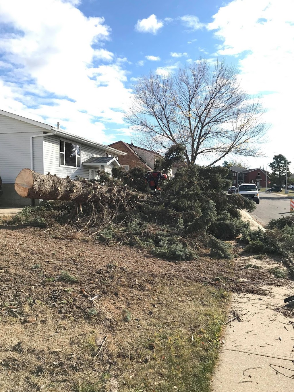 Robinson Lawn & Tree Maintenance | 1436 63 St NW, Edmonton, AB T6L 1X7, Canada | Phone: (780) 868-0135