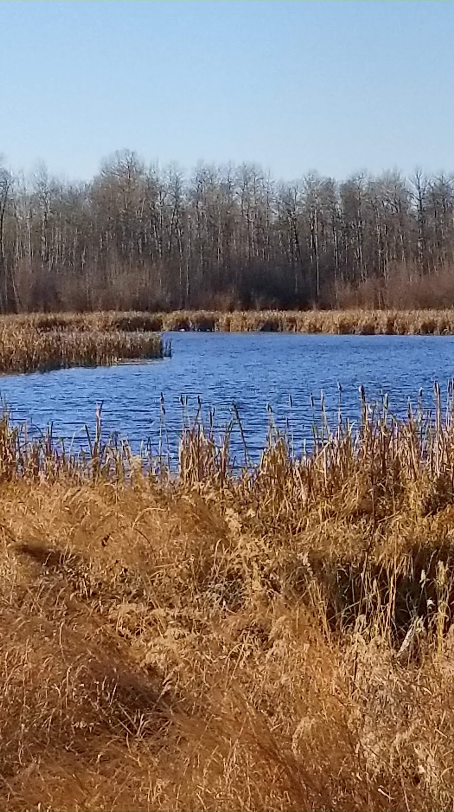 Cooking Lake-Blackfoot Provincial Recreation Area | Beaver County, AB T8G 1G2, Canada