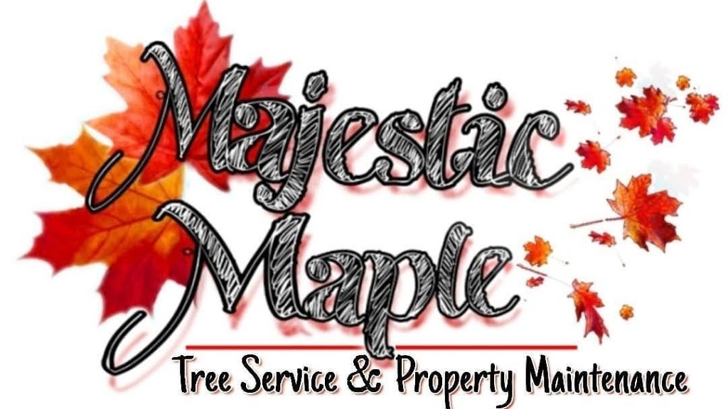 Majestic Maple Tree Service & Property Maintenance Ltd. | 15 Prouse Dr, Brampton, ON L6V 3A3, Canada | Phone: (289) 752-6222