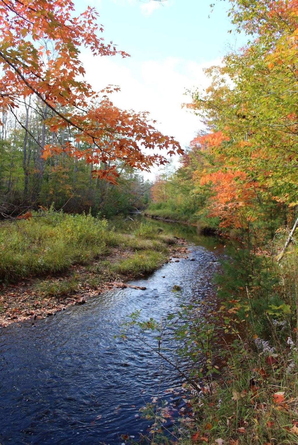 As The River Bends Retreat Inc | 1828 Bishopville Rd, Hantsport, NS B0P 1P0, Canada | Phone: (902) 684-0955