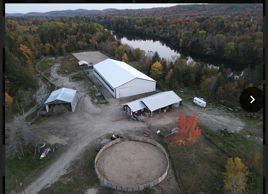 Fondation Équestre Red Robin | 6939 QC-309, LAnge-Gardien, QC J8L 2W9, Canada | Phone: (819) 766-2110