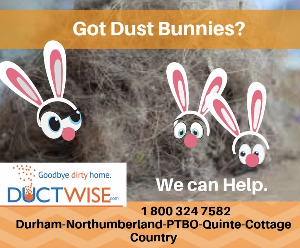 Ductwise Duct Cleaning Cobourg | 73 Ballantine St, Cobourg, ON K9A 5H2, Canada | Phone: (905) 372-3208