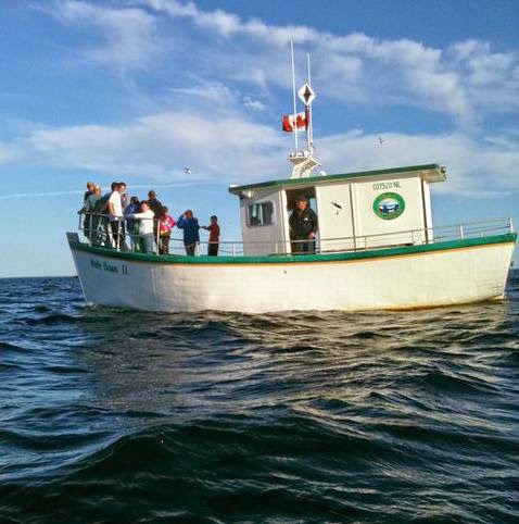 Molly Bawn Whale-Puffin Tours | Gus OReillys Road, Mobile, NL A0A 3A0, Canada | Phone: (709) 334-2621