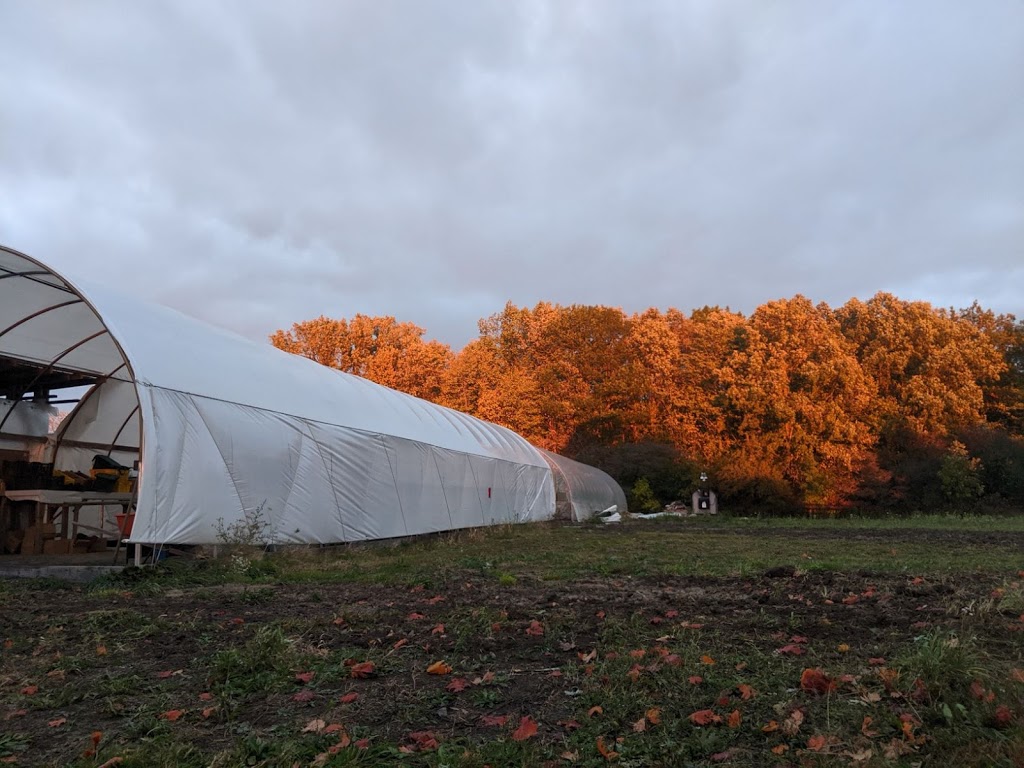 Mulberry Moon Farm | 30073 Centre Rd, Strathroy, ON N7G 3H7, Canada | Phone: (519) 719-7253