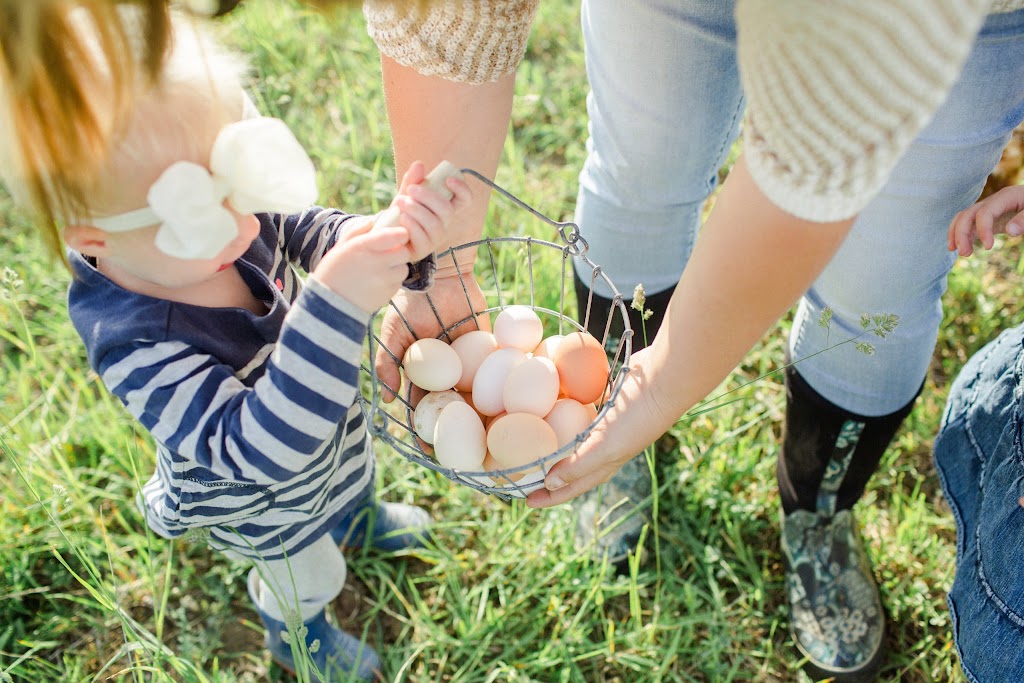 Greener Pastures Eco Farm | 774766 Oxford Rd 14, Woodstock, ON N4S 7W3, Canada | Phone: (226) 377-1011