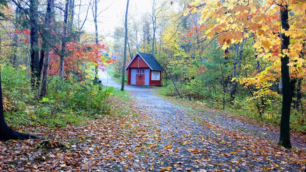 Parc des Rapides-du-Diable | 749 QC-173, Beauceville, QC G5X 1C2, Canada