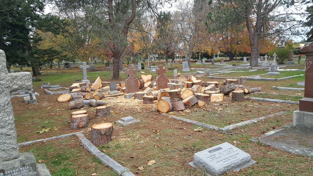 Ross Bay Cemetery | 1495 Fairfield Rd, Victoria, BC V8S, Canada | Phone: (250) 361-0600