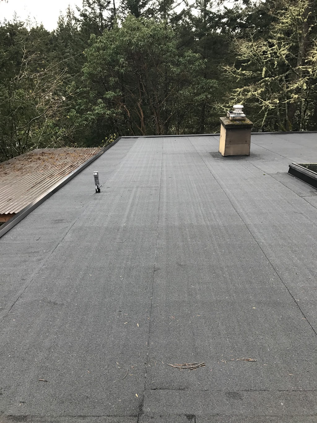 Shoreline Roofing & Exteriors | 565 Leaside Ave, Victoria, BC V8Z 2K9, Canada | Phone: (250) 413-7967