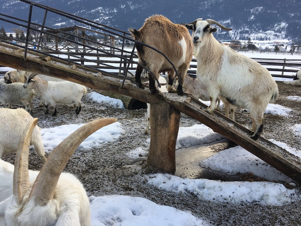 Log Barn 1912 | 4782 BC-97A, Armstrong, BC V0E 1B8, Canada | Phone: (250) 546-2000