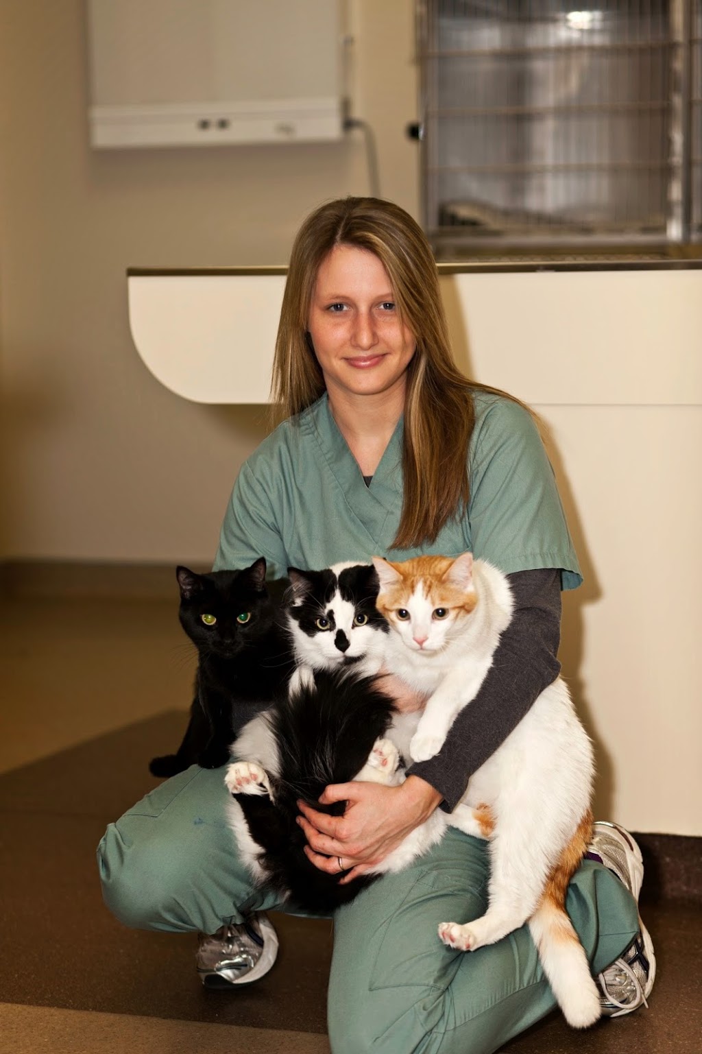 Bayridge Animal Hospital | 732 Milford Dr, Kingston, ON K7P 1C6, Canada | Phone: (613) 634-2001