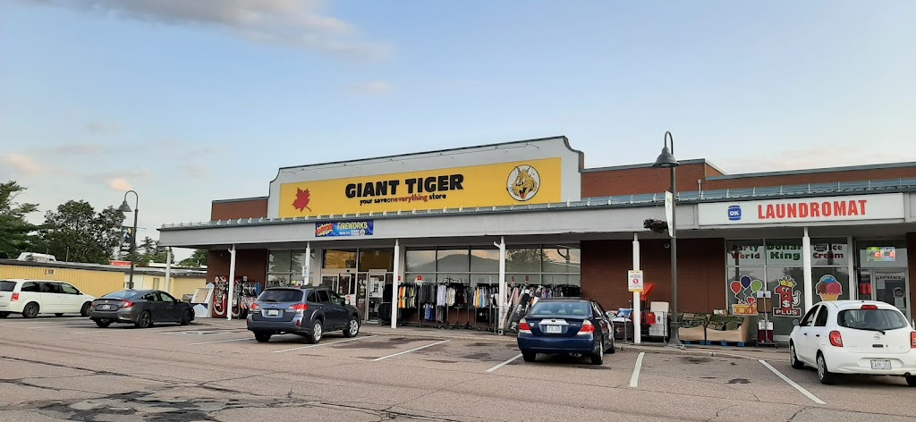 Giant Tiger | 32 Ridge Rd, Deep River, ON K0J 1P0, Canada | Phone: (613) 584-3048