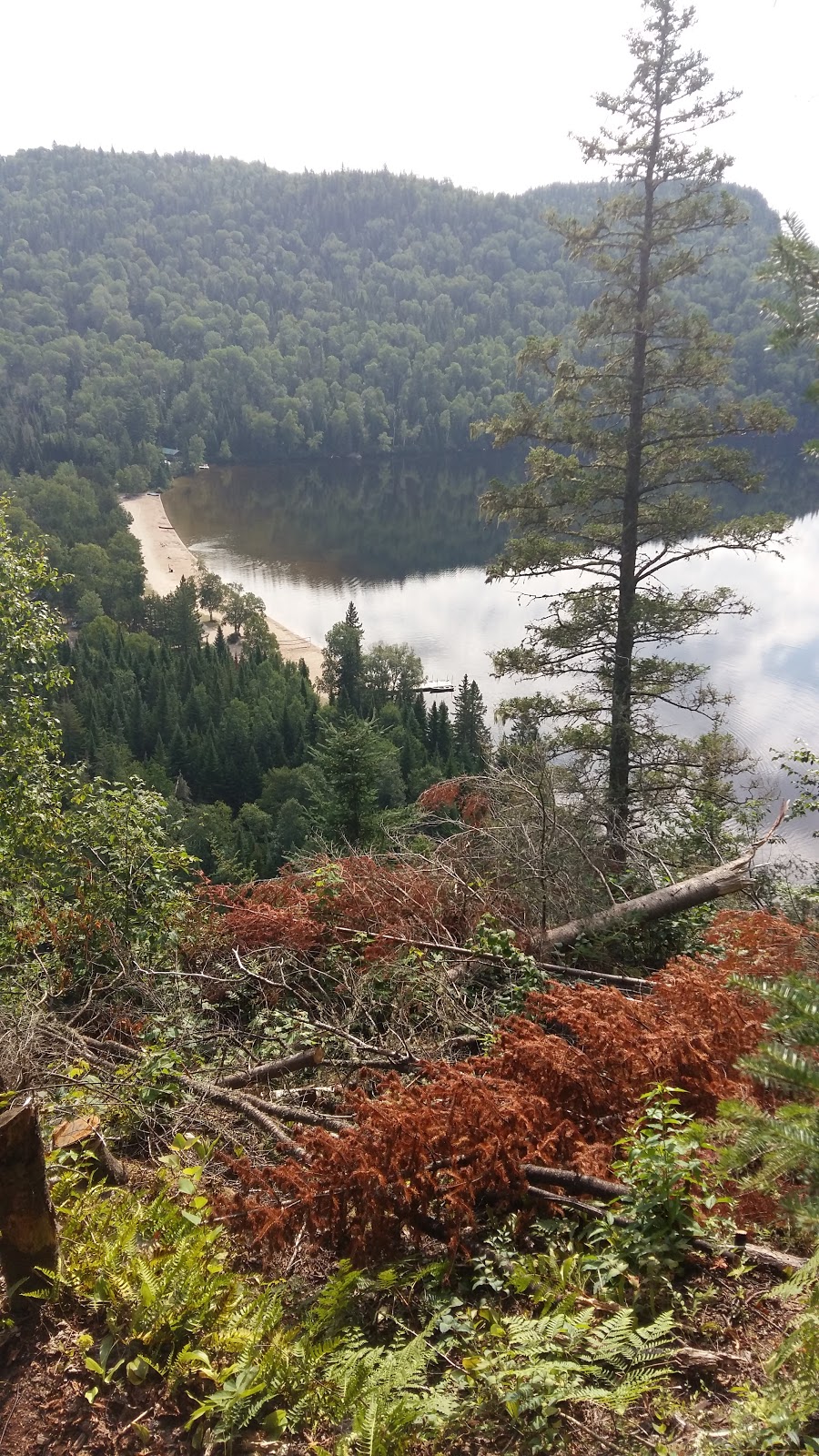 Portneuf wildlife reserve | 229 Rue du Lac Vert, Rivière-à-Pierre, QC G0A, Canada | Phone: (800) 665-6527