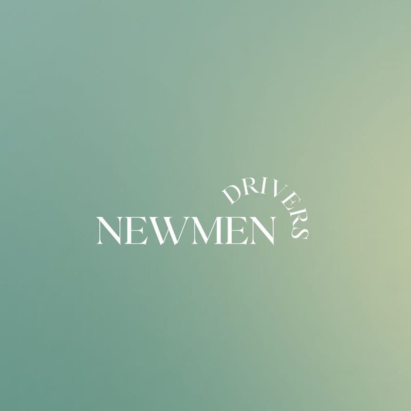 Newmen Drivers | 248 Westway Crescent, Concord, ON L4K 5S9, Canada | Phone: (416) 995-0072