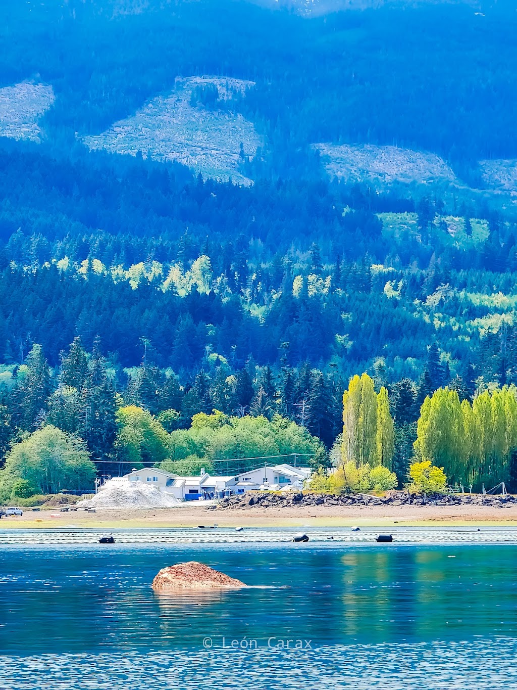 Fanny Bay Oysters | 8260 Island Hwy S, Fanny Bay, BC V0R 1W0, Canada | Phone: (250) 335-0125