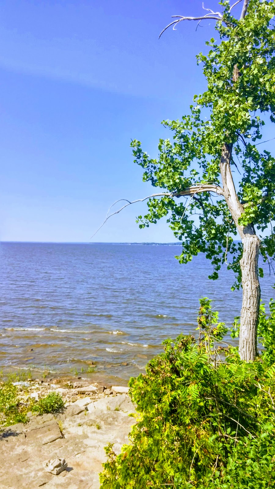 Bois-de-lÎle-Bizard Nature Park | 2115 Chemin du Bord-du-Lac, LÎle-Bizard, QC H9C 1P3, Canada | Phone: (514) 280-8517