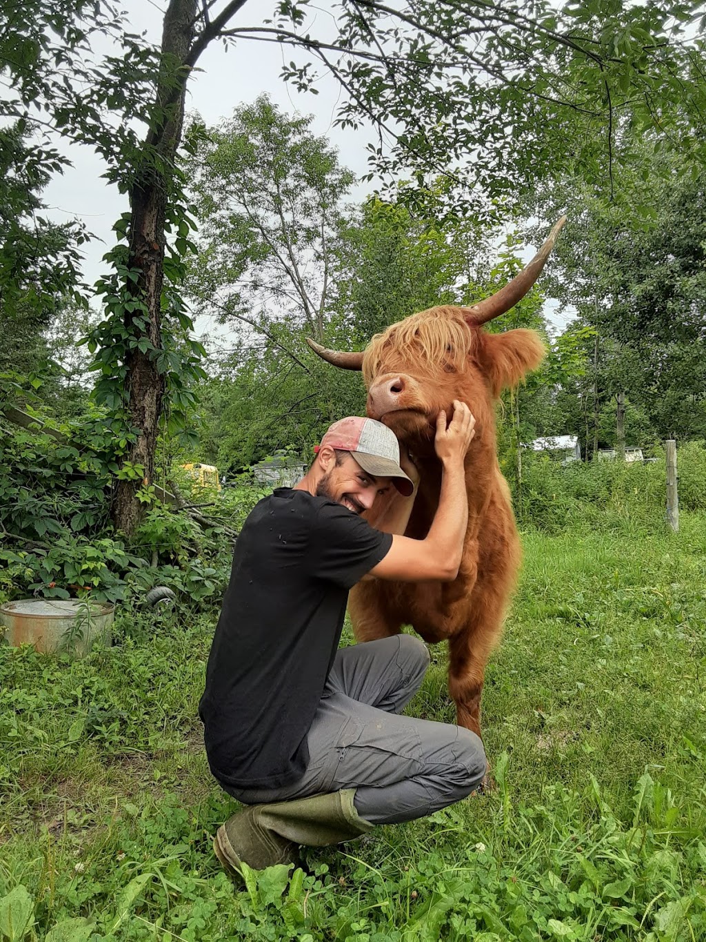 Ferme LIdéel | 1610 Rang Allaire, Sainte-Hélène-de-Chester, QC G0P 1H0, Canada | Phone: (819) 382-2773